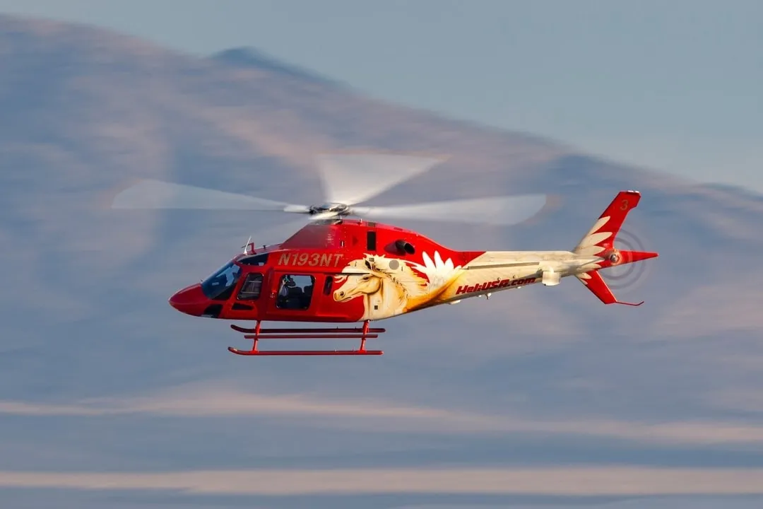Lobo Helicopter File | Leonardo AW119
